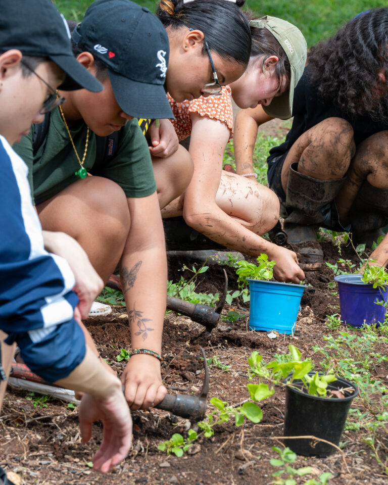 Weed Warrior Wednesday at Kapapapuhi