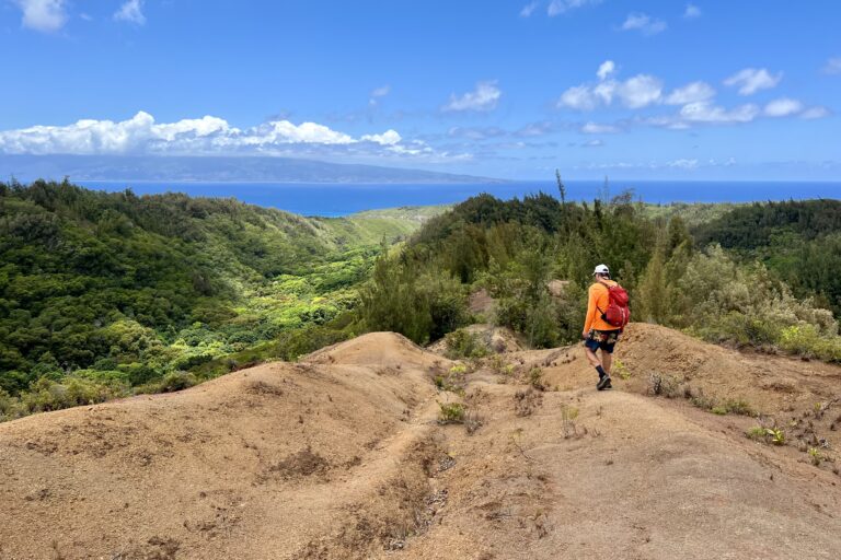 Honolua Volunteer Work Day