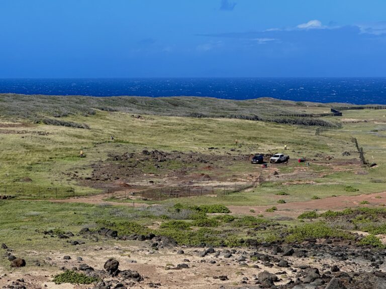 Volunteer with Molokai Land Trust